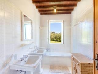 Rustico, ottimo stato, 375 m², Riparbella — foto 28 di 29