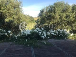 Villa unifamiliare capalbio, Centro, Capalbio — foto 12 di 33