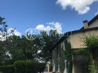 Villa unifamiliare capalbio, Centro, Capalbio — foto 7 di 33