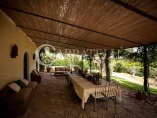 Villa unifamiliare capalbio, Centro, Capalbio — foto 27 di 33
