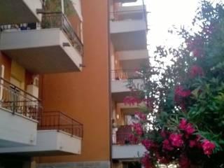 Stanza singola via Sergio Tavernari 24, Forlì — foto 5 di 14