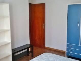 Stanza singola via Sergio Tavernari 24, Forlì — foto 8 di 14