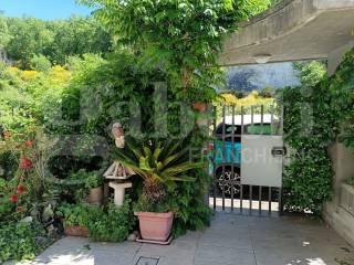Villa bifamiliare via Newton, 8, Pesche — foto 22 di 24