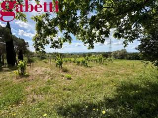 Villa unifamiliare Strada Consortile La Carla 66, Magliano in Toscana — foto 36 di 38