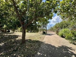 Villa unifamiliare, ottimo stato, 183 m², Piano Dell'Acqua, Chiaramonte Gulfi