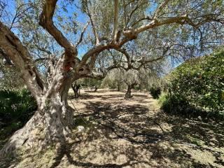 Villa unifamiliare, ottimo stato, 183 m², Piano Dell'Acqua, Chiaramonte Gulfi — foto 14 di 26