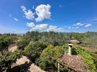 Villa unifamiliare, ottimo stato, 183 m², Piano Dell'Acqua, Chiaramonte Gulfi — foto 3 di 26