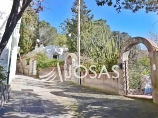 Villa unifamiliare Strada Provinciale Marina Piccola di Capri 2, Centro, Capri — foto 11 di 13