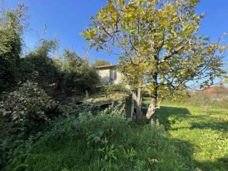 Rustico Località Monti San Lorenzo, Pugliola, Solaro, Lerici — foto 18 di 24