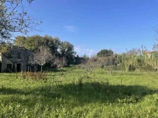 Rustico Località Monti San Lorenzo, Pugliola, Solaro, Lerici — foto 24 di 24