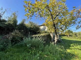 Rustico Località Monti San Lorenzo, Pugliola, Solaro, Lerici — foto 9 di 24