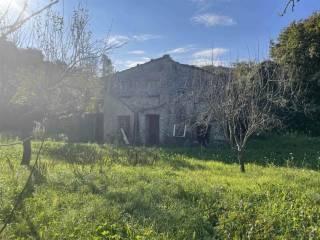Rustico Località Monti San Lorenzo, Pugliola, Solaro, Lerici — foto 12 di 24