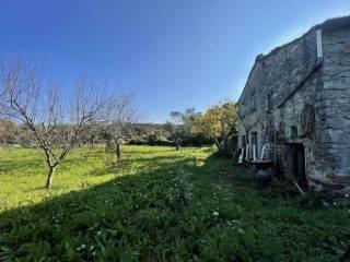 Rustico Località Monti San Lorenzo, Pugliola, Solaro, Lerici — foto 16 di 24
