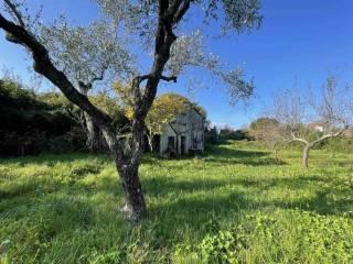 Rustico Località Monti San Lorenzo, Pugliola, Solaro, Lerici — foto 15 di 24