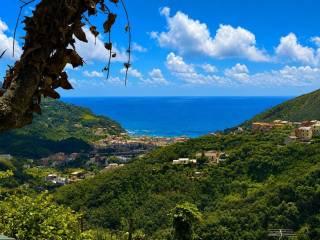 Terratetto unifamiliare Vignana, Levanto — foto 25 di 31