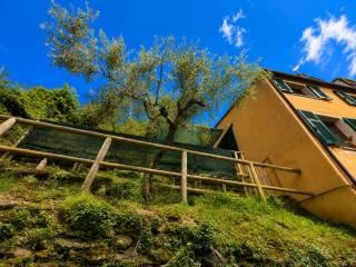 Terratetto unifamiliare Vignana, Levanto — foto 18 di 31