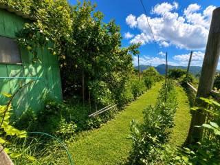 Terratetto unifamiliare Vignana, Levanto — foto 5 di 31