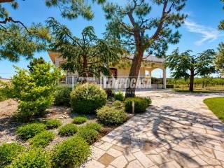 Villa unifamiliare via Cozze, Conversano — foto 47 di 65