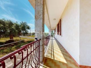 Villa unifamiliare via Cozze, Conversano — foto 21 di 65