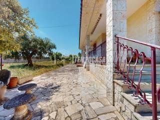 Villa unifamiliare via Cozze, Conversano — foto 53 di 65