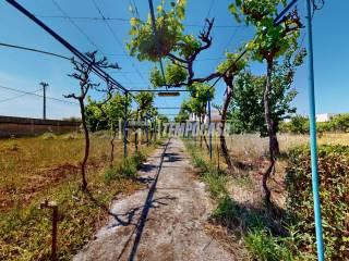 Villa unifamiliare via Cozze, Conversano — foto 27 di 65