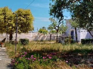 Villa unifamiliare via Cozze, Conversano — foto 3 di 65