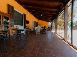 Villa unifamiliare Strada vicinale del Porto 2530, Centro, Gioia del Colle — foto 4 di 49