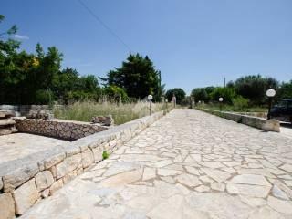 Villa unifamiliare Strada vicinale del Porto 2530, Centro, Gioia del Colle — foto 31 di 49