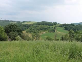 Casa colonica Strada Laurano di Sotto 1, Neviano degli Arduini — foto 4 di 17