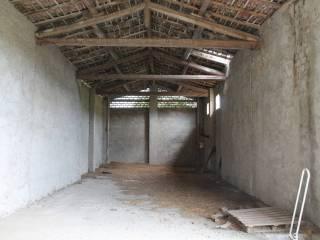 Casa colonica Strada Laurano di Sotto 1, Neviano degli Arduini — foto 2 di 17