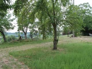 Casa colonica Strada Laurano di Sotto 1, Neviano degli Arduini — foto 15 di 17