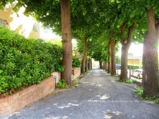 Terratetto unifamiliare via Lontra, Sant'Angelo in Pontano — foto 26 di 30