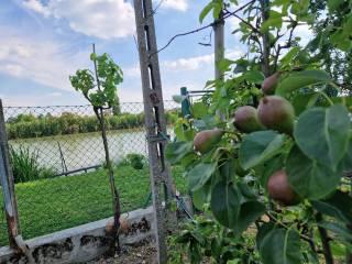Villa bifamiliare via di Mezzo, Sabbioncello San Vittore, Copparo — foto 19 di 48