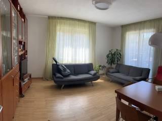 Stanza in affitto in appartamento Veneto 18, Rubano — foto 4 di 18