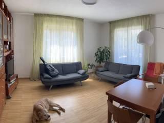 Stanza in affitto in appartamento Veneto 18, Rubano — foto 9 di 18