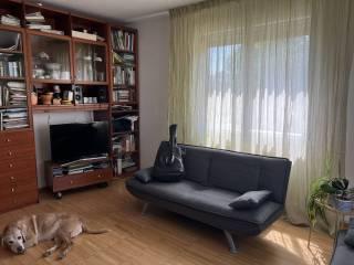 Stanza in affitto in appartamento Veneto 18, Rubano — foto 12 di 18