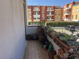 Stanza in affitto in appartamento Veneto 18, Rubano — foto 6 di 18
