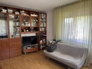 Stanza in affitto in appartamento Veneto 18, Rubano — foto 17 di 18