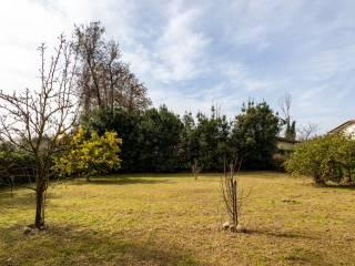 Villa unifamiliare via Silcia, 52, Marina Verde, Renella, Montignoso — foto 23 di 30