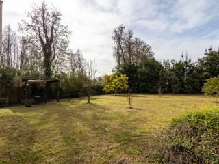 Villa unifamiliare via Silcia, 52, Marina Verde, Renella, Montignoso — foto 20 di 30