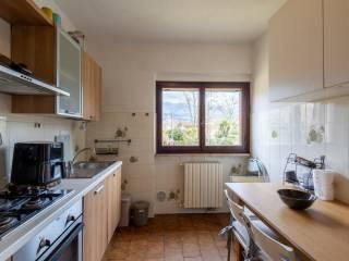Villa unifamiliare via Silcia, 52, Marina Verde, Renella, Montignoso — foto 10 di 30