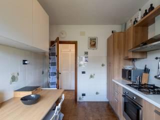 Villa unifamiliare via Silcia, 52, Marina Verde, Renella, Montignoso — foto 15 di 30