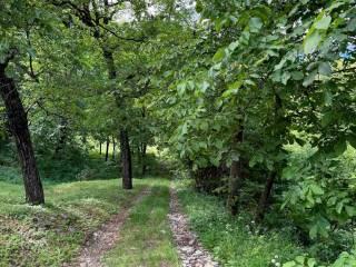 Rustico Località Frizzalli, Caiolo — foto 8 di 29