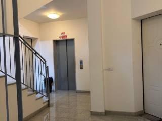 Stanza singola via Cesare Aguilhon 4, Monza — foto 13 di 14