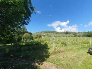 Casa colonica, buono stato, 320 m², Ambra, Bucine — foto 13 di 46