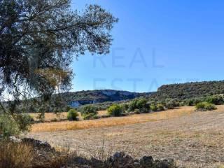 Casale Strada Prima Cifali, Floridia — foto 16 di 49