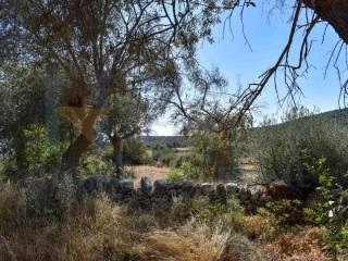 Casale Strada Prima Cifali, Floridia — foto 19 di 49