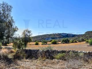 Casale Strada Prima Cifali, Floridia — foto 24 di 49