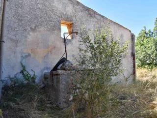 Casale Strada Prima Cifali, Floridia — foto 25 di 49