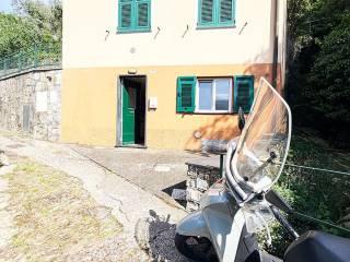 Open space Località Poggio Favaro, Poggio Favaro San Bernardo, Bogliasco — foto 7 di 12